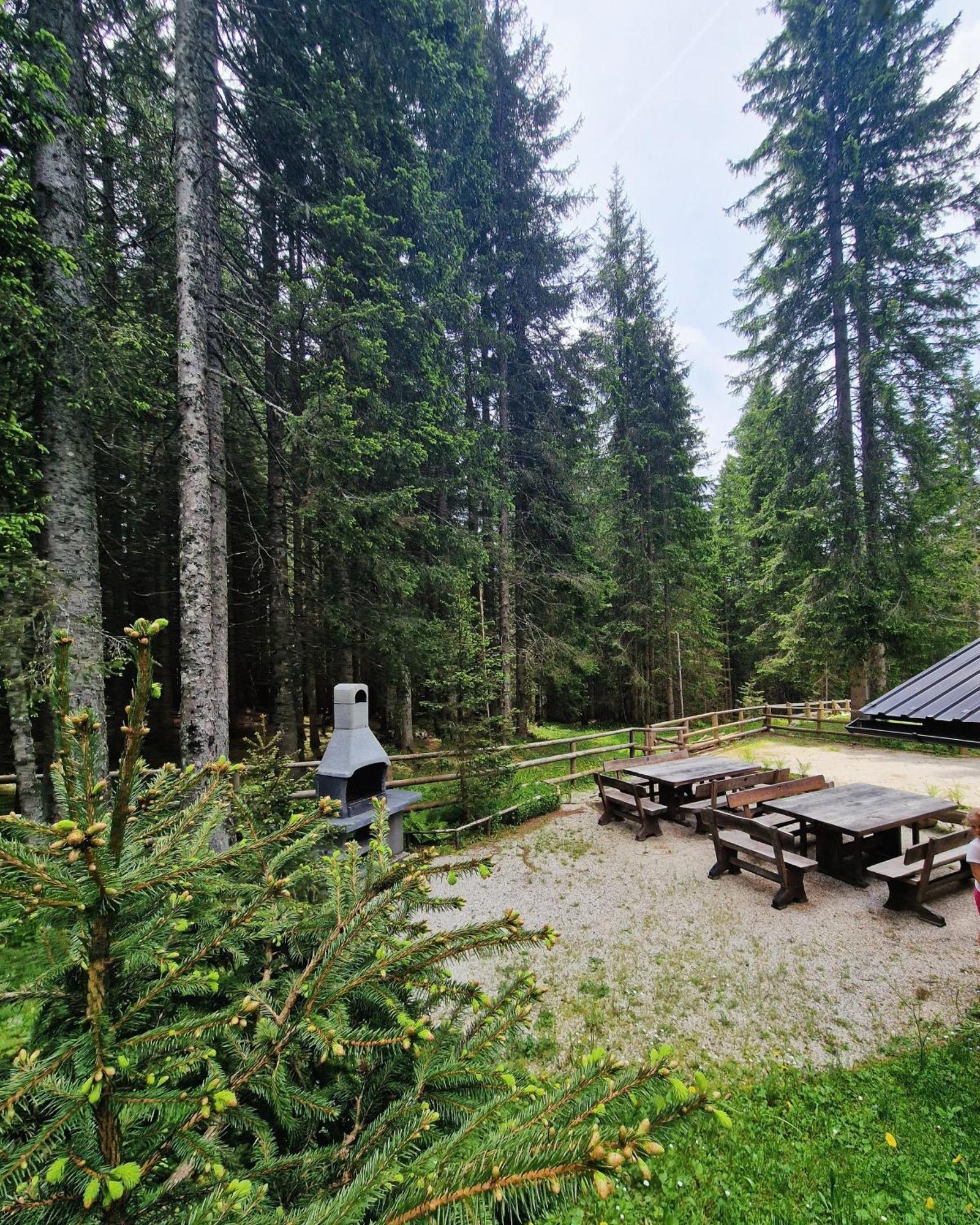 Forest Apartments Pokljuka Zgornje Gorje Zewnętrze zdjęcie