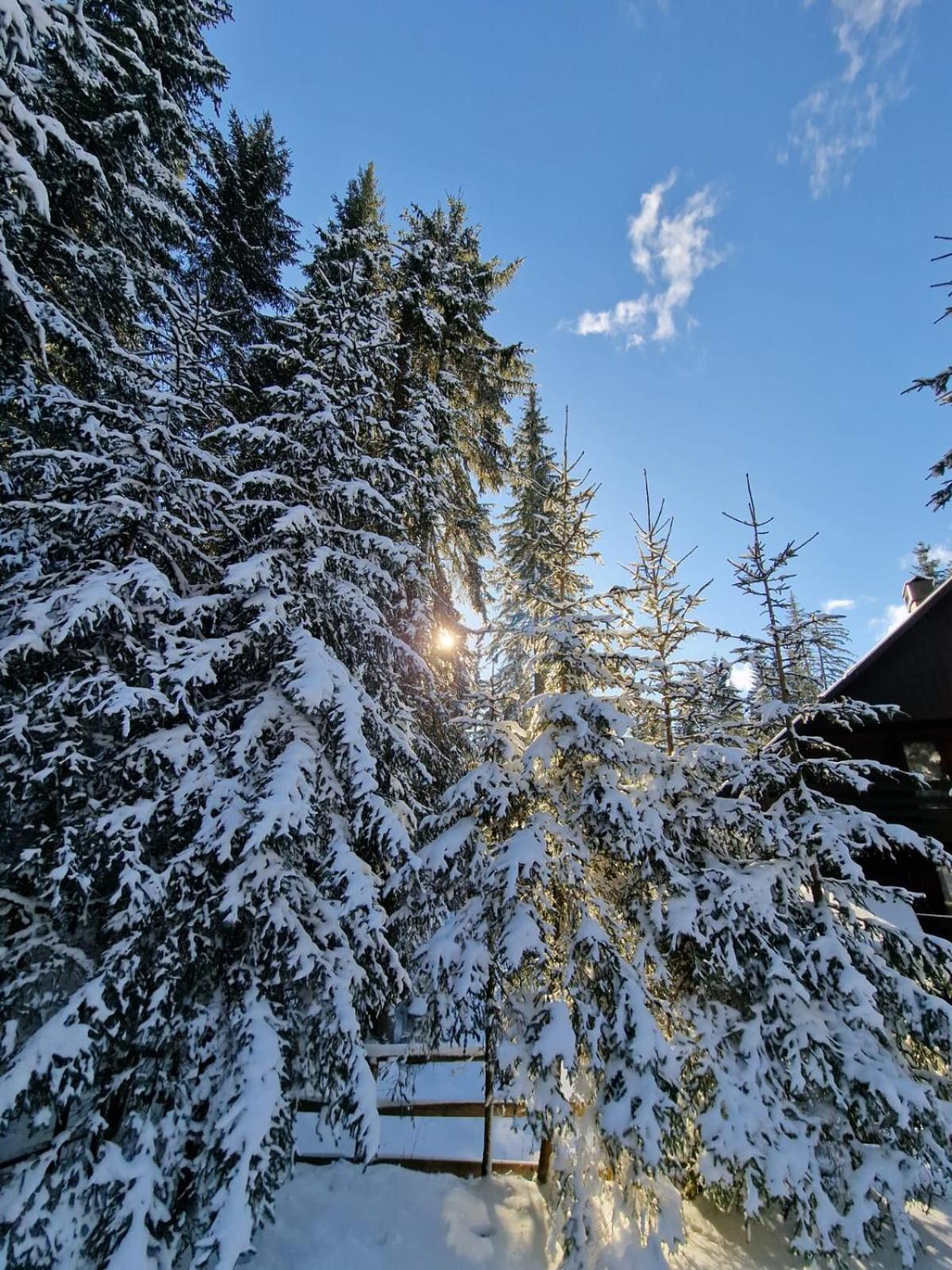 Forest Apartments Pokljuka Zgornje Gorje Zewnętrze zdjęcie