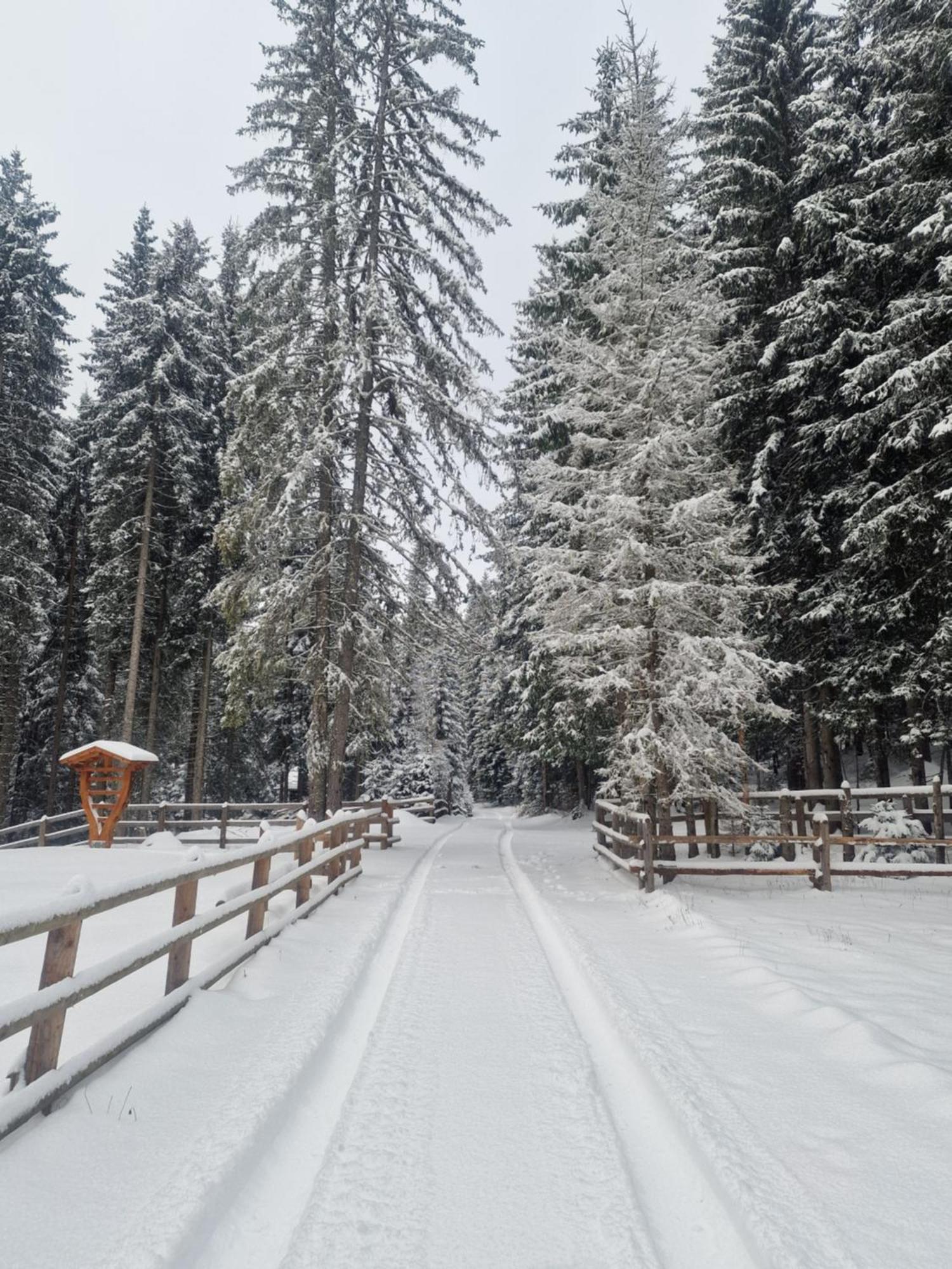 Forest Apartments Pokljuka Zgornje Gorje Zewnętrze zdjęcie