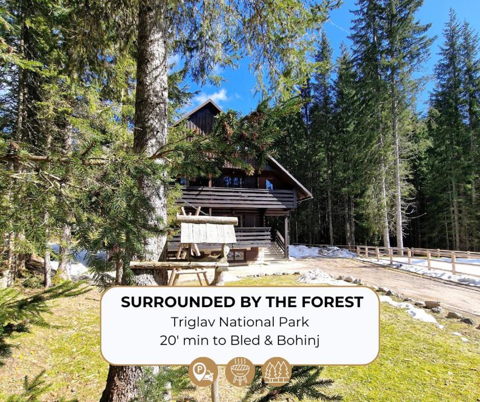 Forest Apartments Pokljuka Zgornje Gorje Zewnętrze zdjęcie