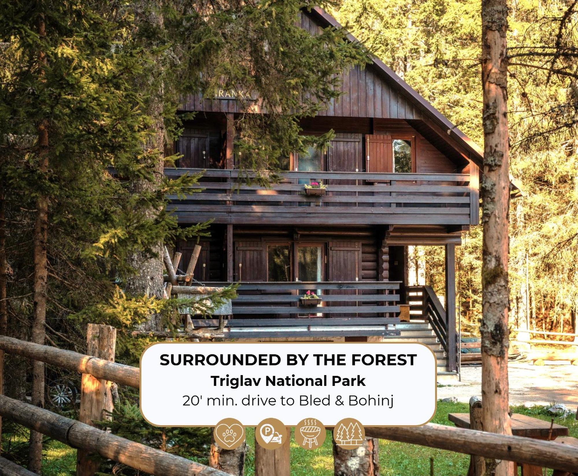 Forest Apartments Pokljuka Zgornje Gorje Zewnętrze zdjęcie