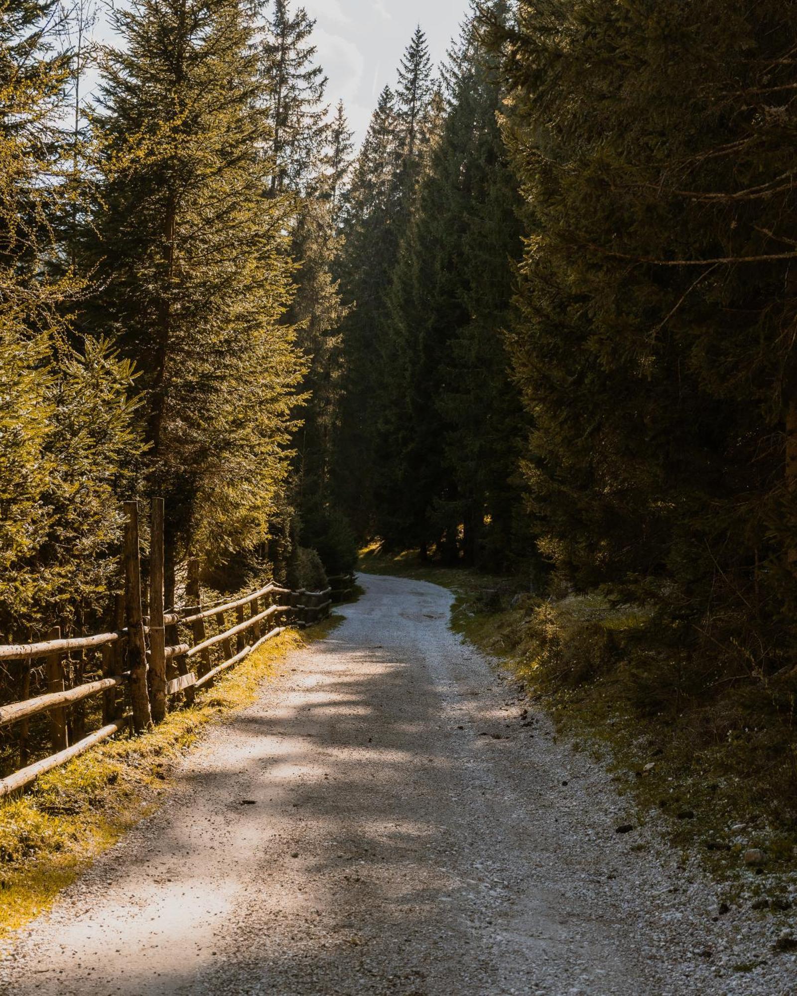 Forest Apartments Pokljuka Zgornje Gorje Zewnętrze zdjęcie